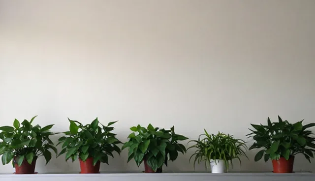 技术服务如何满足不同场景下的性能要求